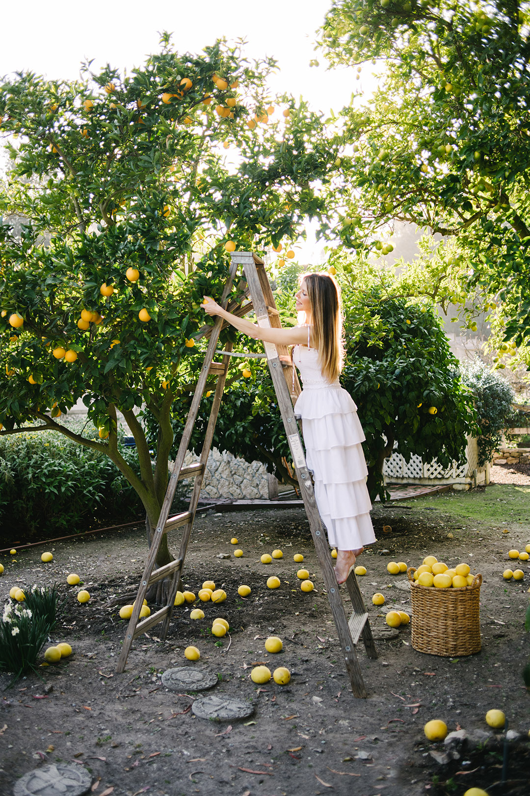 Lauren Taylor Creative - Interior, Architecture, & Lifestyle Photographer - At Home